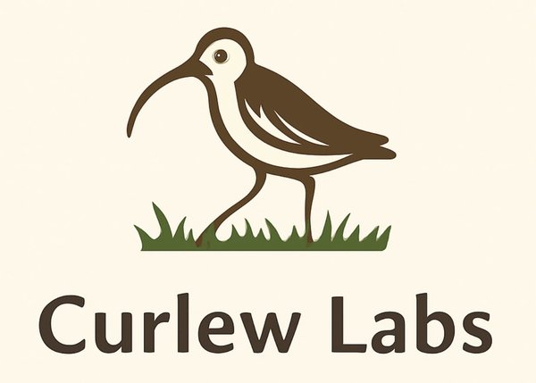 Curlew Labs